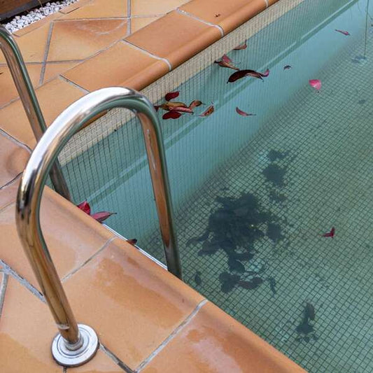 Your Guide to Removing Organic Pool Stains 