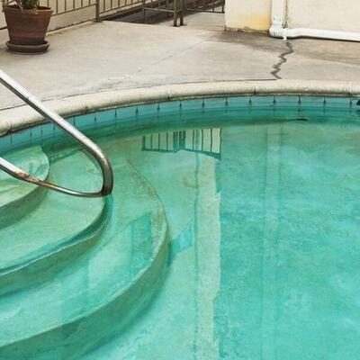 How to Treat Mustard Algae