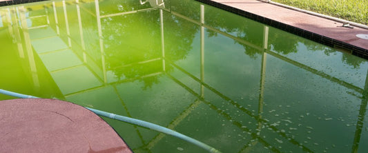 Green Pool Cleaning - The Ultimate Guide