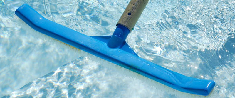 Fastest way to kill Black Spot Algae in your pool