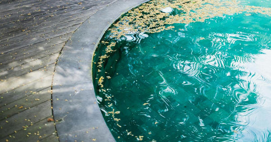 Pool Cleaning 101: Everything You Need to Know About Cleaning Your Pool