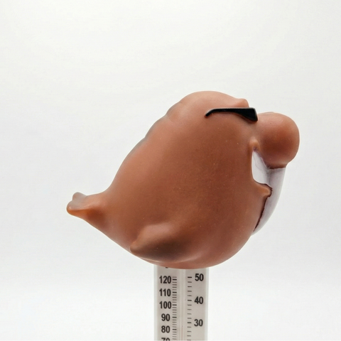 Cool Animal Floating Thermometer