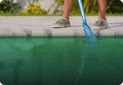 Pool Cleaning