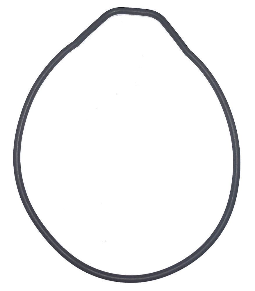 Astralpool O ring for Seal plate CTX - E - Viron - NEW STYLE 70022