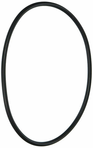 Hayward O-Ring for Micro Star Clear - CX120D - Durable and Essential Replacement Part for Effective Filtration