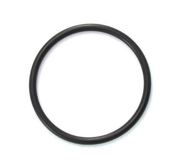 Hayward GMX 600 O-ring - Reliable pool equipment accessory