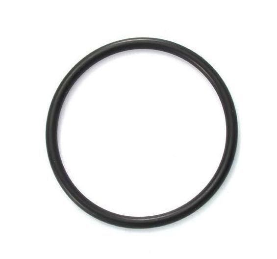 Poolrite Surechlor / Enduro Chlorinator Cell Union O Ring