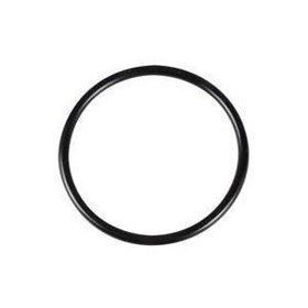 Zodiac O ring for FloPro pump lid - WS0137200