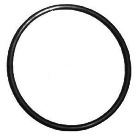 Poolstore GT Pool Pump Lid O Ring - Replacement part for efficient pool maintenance