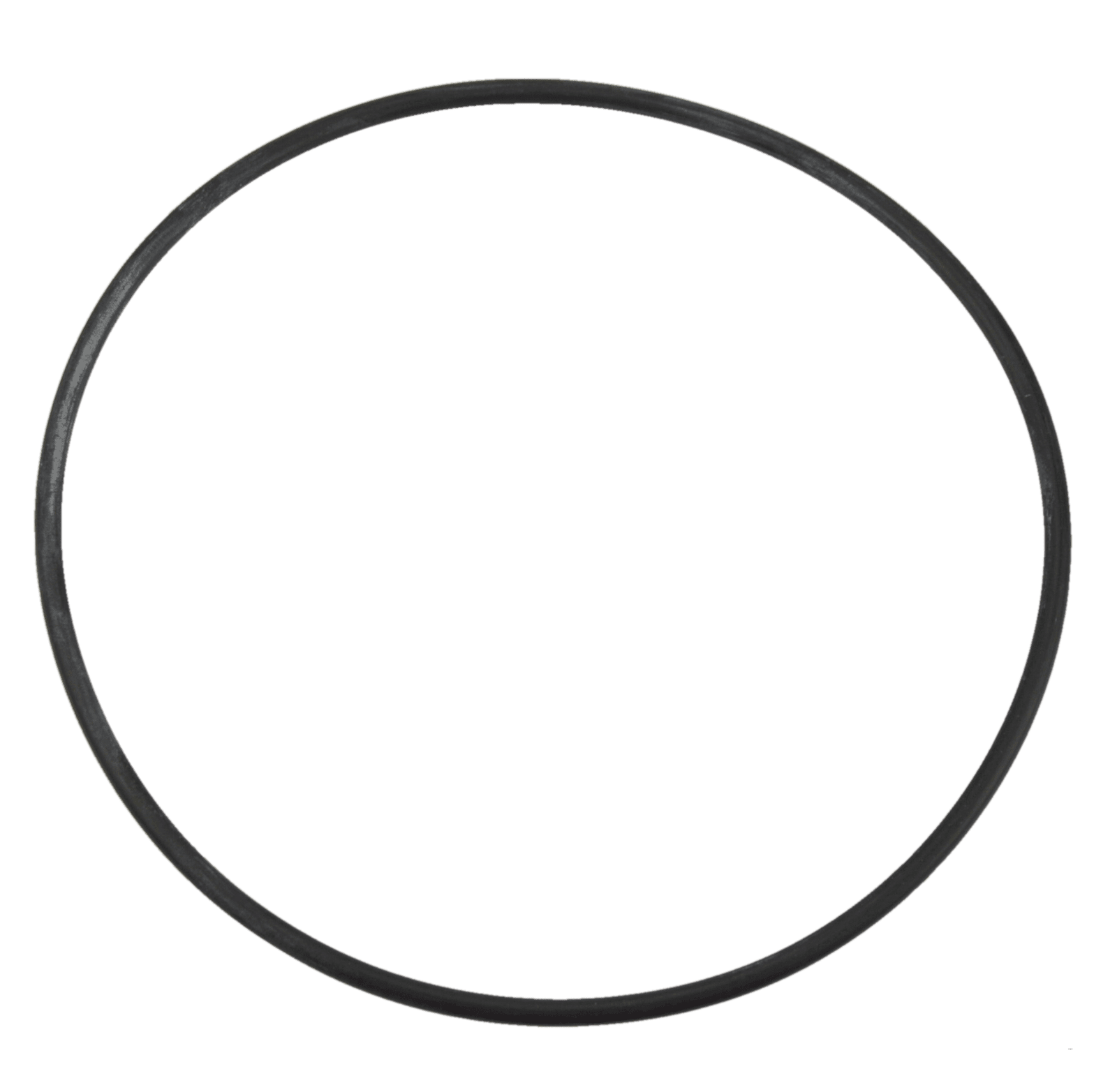 Aquaflo FMCP / CMCP Pump Body O-Ring