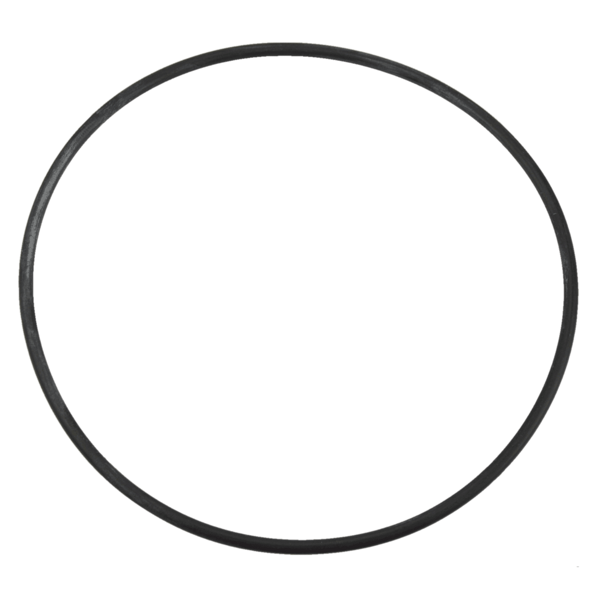 Aquaflo FMCP / CMCP Pump Body O-Ring