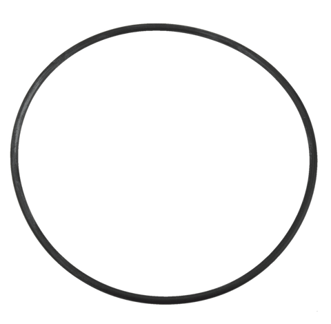 Aquaflo FMCP / CMCP Pump Body O-Ring